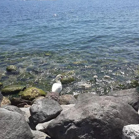 Villaggio Turistico Maderno - Casa Mobile Dadda 홀리데이파크